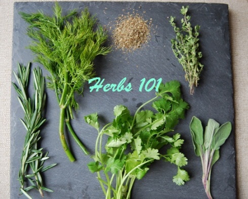 herbs1